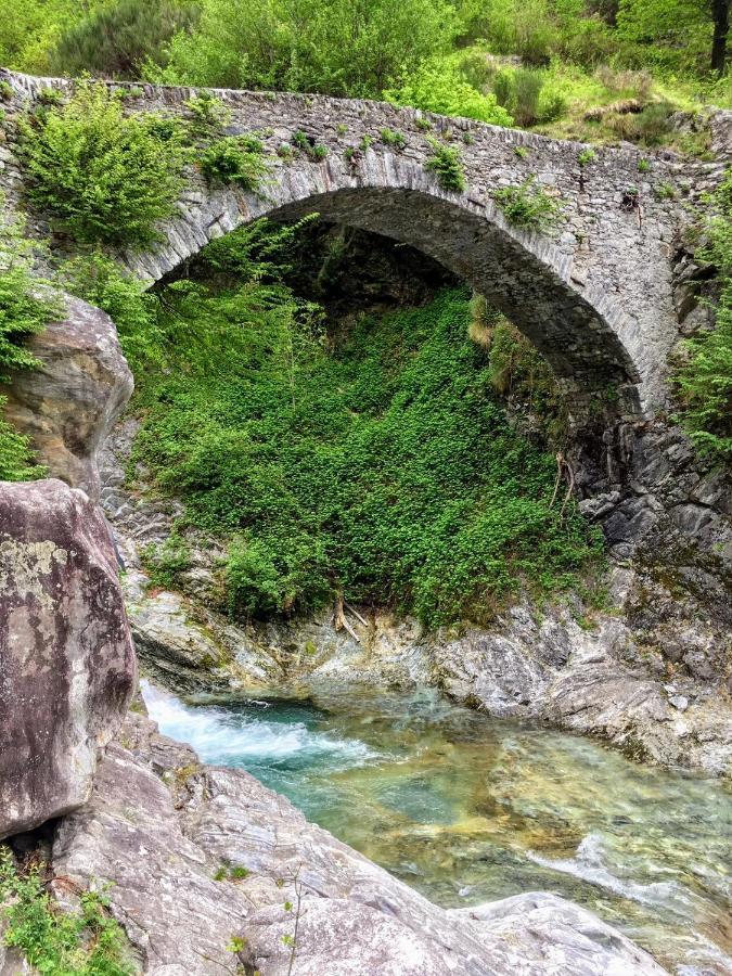 Viewtiful Homestay Stazzona Dış mekan fotoğraf