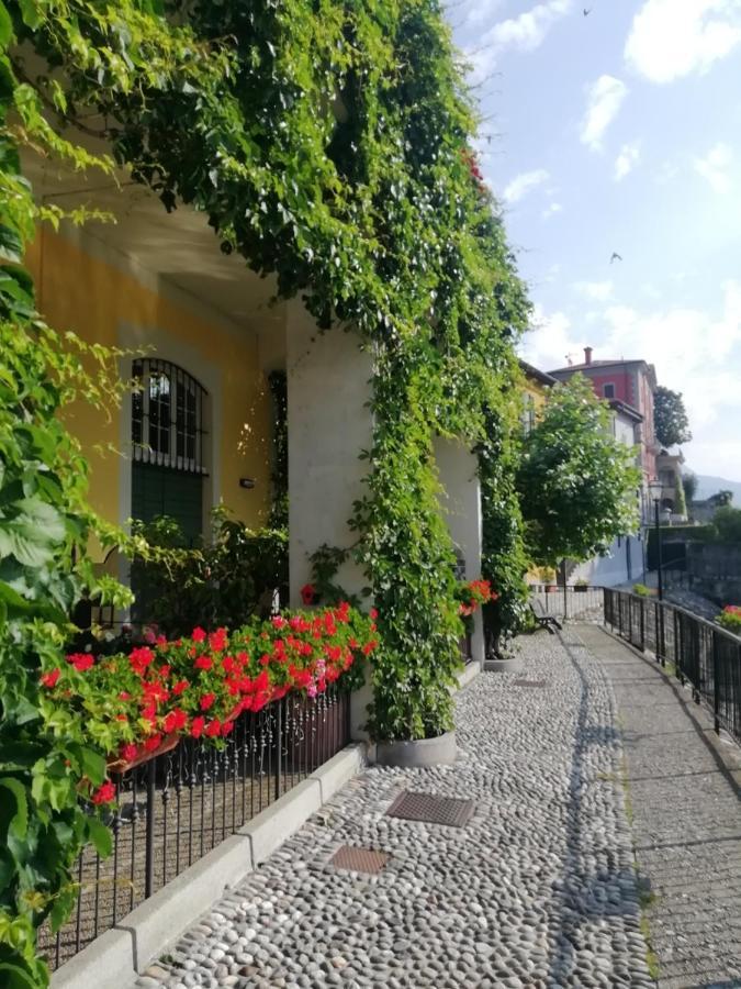 Viewtiful Homestay Stazzona Dış mekan fotoğraf