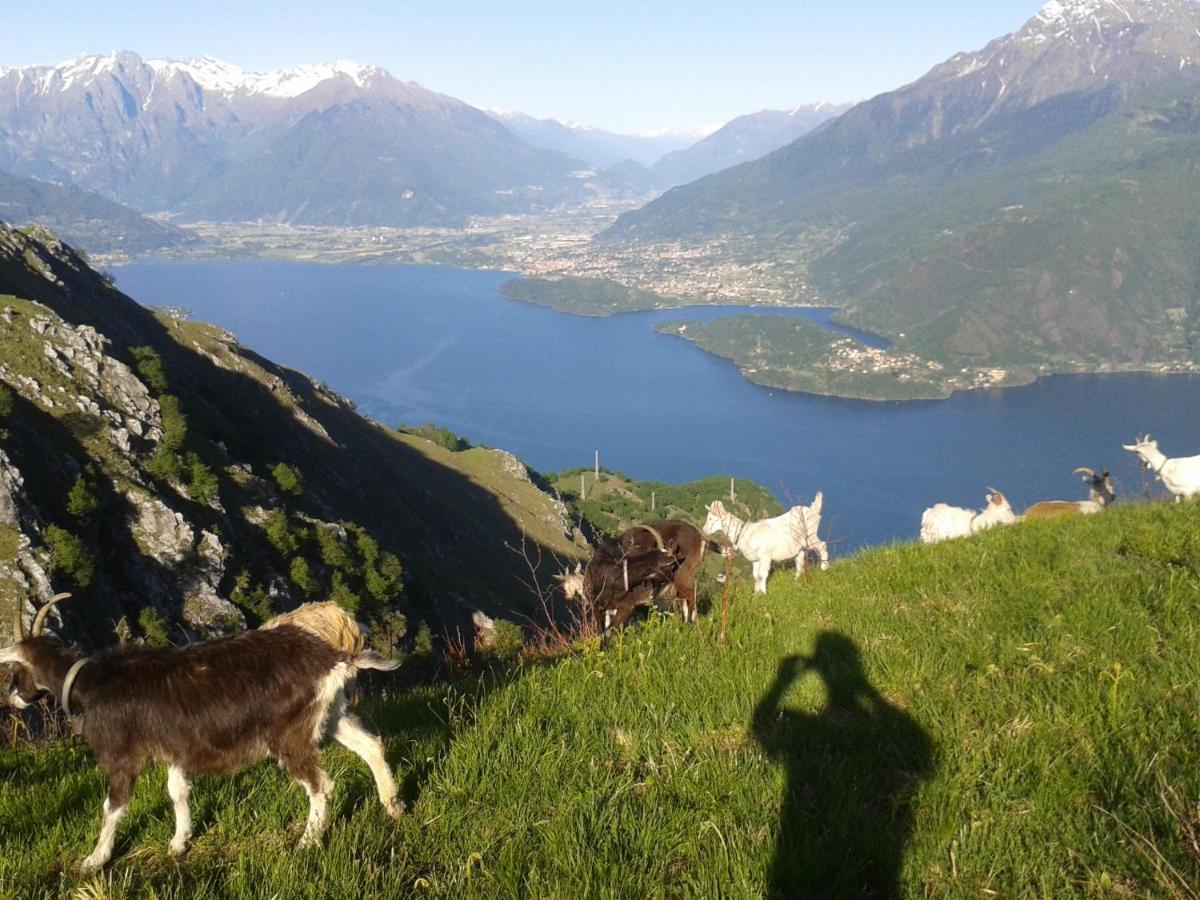 Viewtiful Homestay Stazzona Dış mekan fotoğraf