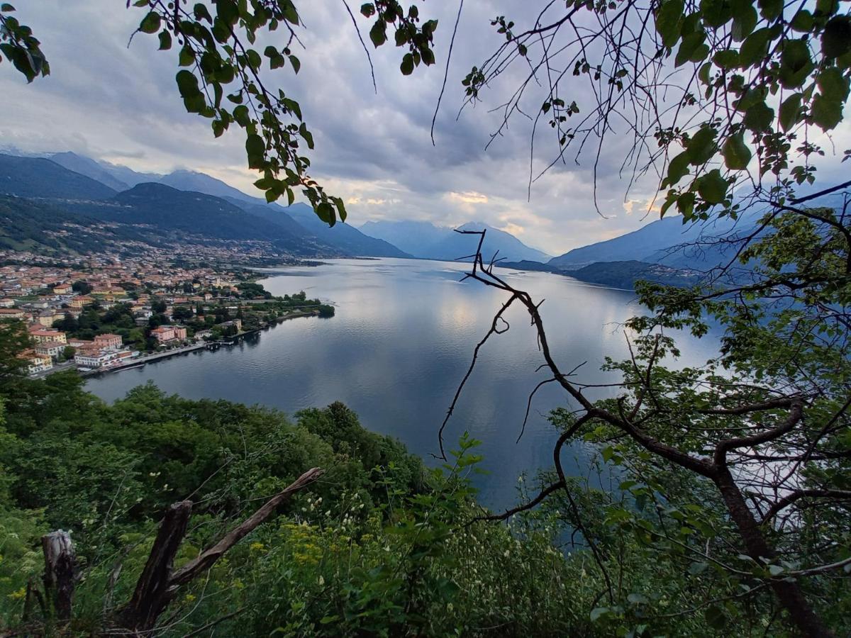 Viewtiful Homestay Stazzona Dış mekan fotoğraf