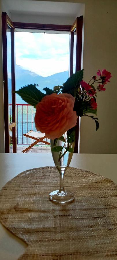 Viewtiful Homestay Stazzona Dış mekan fotoğraf